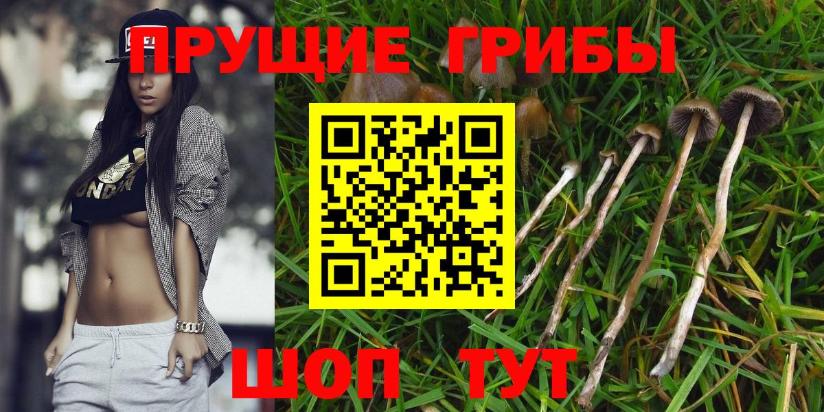 Канабис  Усть-Кут  Альфа ПВП СОЛЬ   Гашиш  Меф МЯУ МЯУ кристаллы  ТГК  Cocaine  Экстази  Вход с VPN 