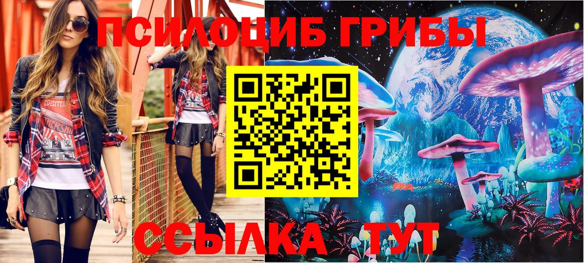 Псилоцибиновые грибы MAGIC MUSHROOMS  Вход с VPN  Галлюциногенные грибы Psilocybine cubensis  Усть-Кут 