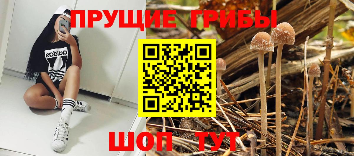 Псилоцибиновые грибы MAGIC MUSHROOMS  Усть-Кут 