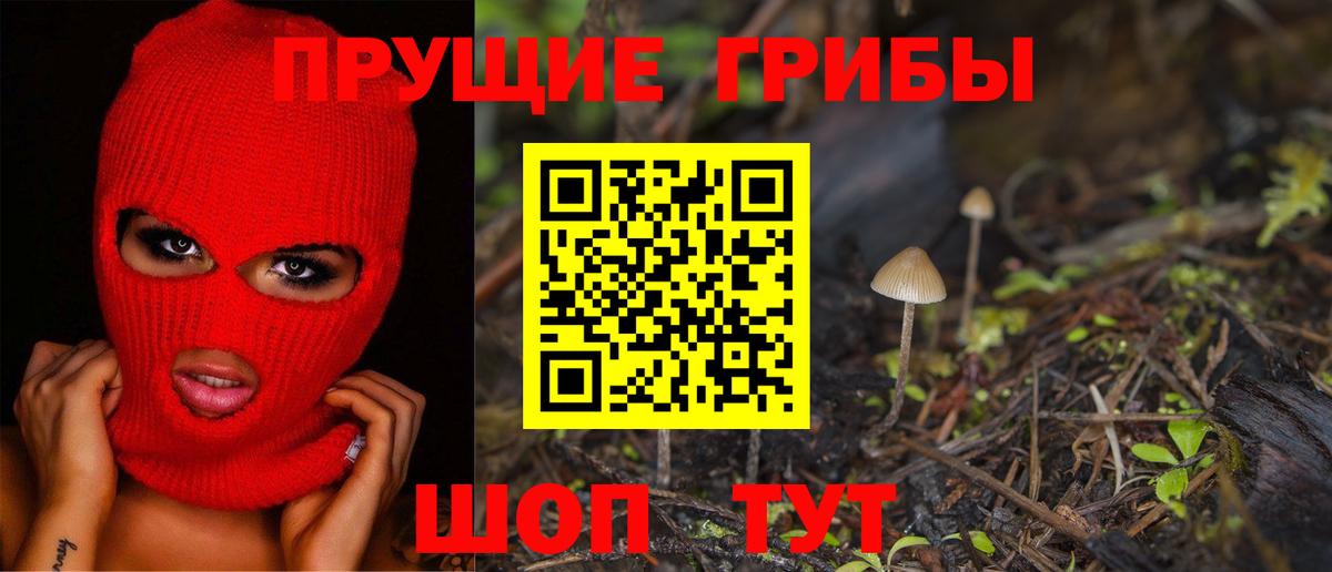 Псилоцибиновые грибы прущие грибы Усть-Кут